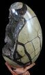 Septarian Dragon Egg Geode - Black Crystals #59688-3